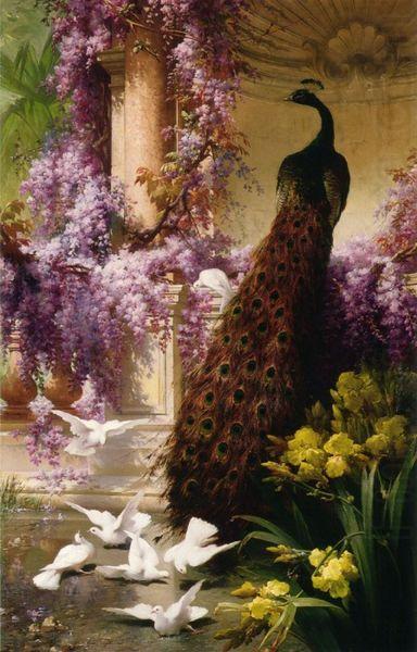 Eugene Bidau A Peacock and Doves in a Garden china oil painting image